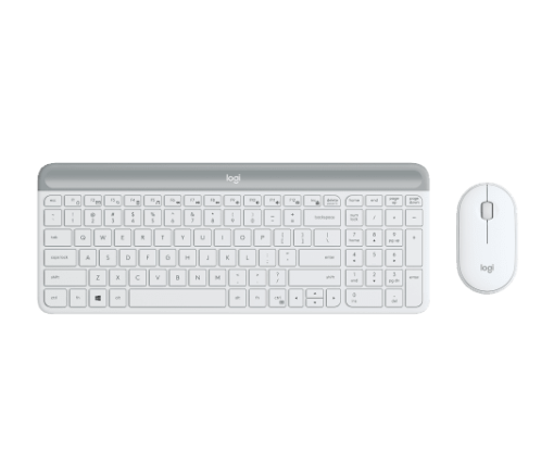 G10 – Cá mập