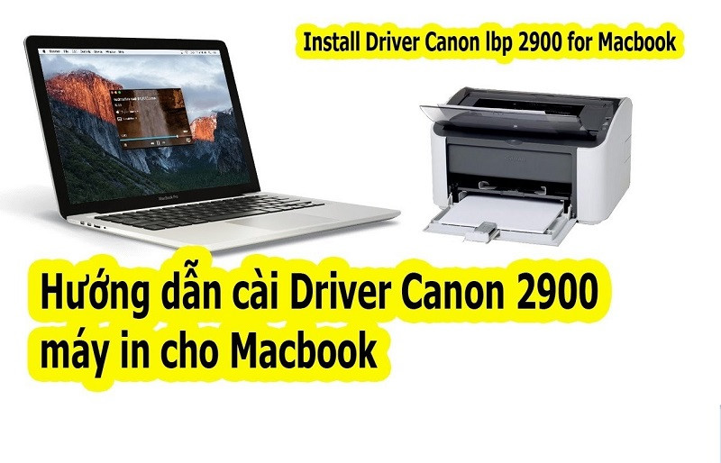 So sánh cài driver Canon 2900 trên Macbook và laptop Windows: khác biệt định dạng .pkg, .dmg và .exe