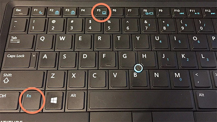Nhấn tổ hợp phím Fn để kích hoạt lại Touchpad