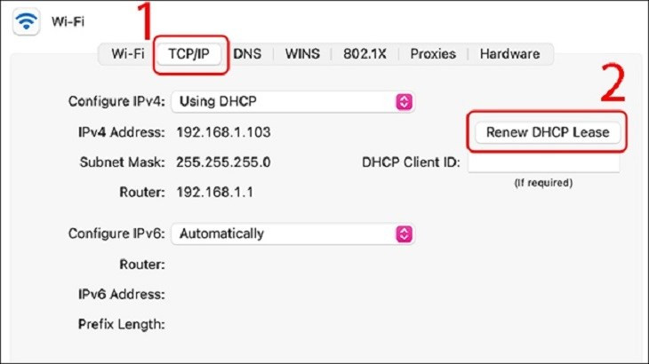 Chọn Renew DHCP Lease để làm mới IP