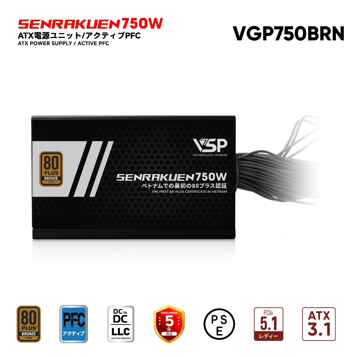 Nguồn máy tính VSP VGP750BRN JPN - 750W